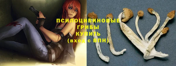 твердый Михайлов