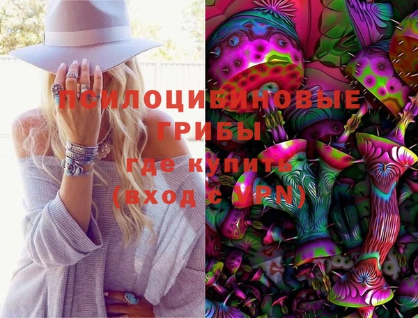 твердый Михайлов