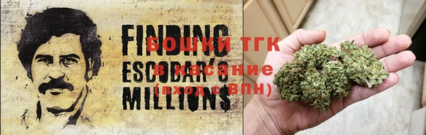 твердый Михайлов